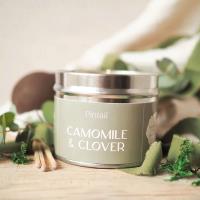 Pintail Candles Camomile & Clover Tin Candle Extra Image 1 Preview